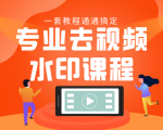 专业去视频水印教程 静态水印、动态水印、文字水印、图片水印一套教程通通搞定-私藏资源社