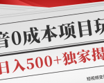 短视频变现套路剖析,抖音0成本赚钱项目玩法,日入500+独家揭秘(共2节视频)-私藏资源社