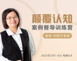 颠覆认知,案例督导训练营:打破旧模式 引领新思维-私藏资源社