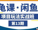 龟课·闲鱼项目玩法实战班第13期,轻松玩转闲鱼,多渠道多方法引流到私域流量池-私藏资源社