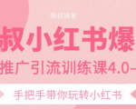 狼叔小红书爆款推广引流训练课4.0,手把手带你玩转小红书-私藏资源社
