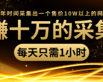 年赚十万的采集站,每天却只需要1小时,一年时间采集出一个售价10W以上的网站-私藏资源社