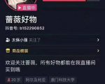 爆抖联盟蔷薇好物连怼100技术,一天连怼上百个视频,单场直播平均带货30万玩法-私藏资源社