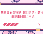 抖音直播间风火轮,暴力微信引流技术,低成本日加上千法-私藏资源社