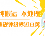 抖音纯搬运 不处理 小技巧,30秒发一个作品,避免违规评级秒过豆荚-私藏资源社