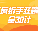 三疯拆手狂赚计,全30计课程-私藏资源社
