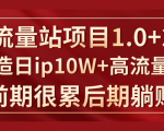 《大流量站项目1.0+2.0》打造日IP10W+高流量站,前期很累后期躺赚-私藏资源社