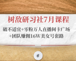 树敌研习社7月课程:破不适宜+零粉万人直播间卡广场+团队赚佣16W美女号套路-私藏资源社