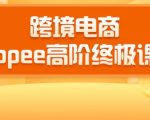 2020跨境电商蓝海新机会-SHOPEE大卖特训营:高阶终极课程(16节课)-私藏资源社