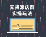 无货源店群实操玩法,蓝海选品的独特思路,店群软件操作方法(45节视频课)-私藏资源社