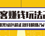 淘客赚钱玩法2.0,阳光绿色超正规项目,月躺赚2W+【视频课程】-私藏资源社