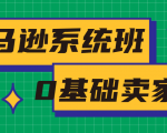 亚马逊系统班,专为0基础卖家量身打造,亚马逊运营流程与架构-私藏资源社