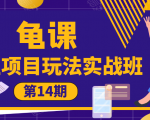 龟课·闲鱼项目玩法实战班第14期,批量细节玩法,一个月收益几万-私藏资源社