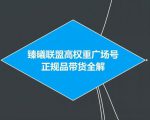 臻曦联盟抖音高权重广场号无人直播正规品带货全解-私藏资源社