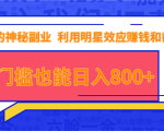 抖音上神秘副业项目,利用明星效应赚钱和截流,无门槛也能日入800+-私藏资源社