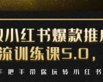 小红书爆款推广引流训练课5.0,手把手带你玩转小红书(17节实操视频+话术)-私藏资源社