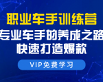职业车手训练营:专业车手的养成之路,快速打造爆款(8节-无水印直播课)-私藏资源社