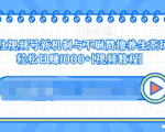 视频号新机制与不刷赞撸养生茶玩法,轻松日赚1000+-私藏资源社
