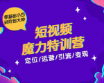 零基础小白进阶到大神《短视频魔力特训营》定位-运营-引流-变现-私藏资源社