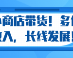 微信小商店带货,爆单多倍收入,长期复利循环!日赚300-800元不等-私藏资源社