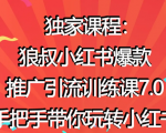 狼叔小红书爆款推广引流训练课7.0,手把手带你玩转小红书-私藏资源社