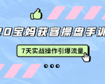 2020宝妈获客操盘手训练营:7天实战操作引爆 母婴、都市、购物宝妈流量-私藏资源社