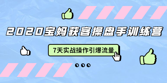 2020宝妈获客操盘手训练营：7天实战操作引爆 母婴、都市、购物宝妈流量-私藏资源社