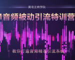 黄岛主·FM音频引流特训营2.0:独家引流模式,单账号50W+播放量,轻松变现-私藏资源社