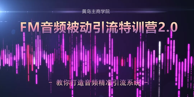 黄岛主·FM音频引流特训营2.0：独家引流模式，单账号50W+播放量，轻松变现-私藏资源社