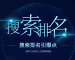 搜索排名引爆点：教你快速掌握各个搜索引擎排名算法，让客户主动找上你的秘笈-私藏资源社