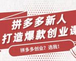 拼多多新人打造爆款创业课:快速引流持续出单,适用于所有新人-私藏资源社