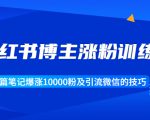 小红书博主涨粉训练营:一篇笔记爆涨10000粉及引流微信的技巧-私藏资源社