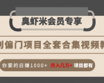 暴利偏门项目全套合集视频教程:你要的日赚1000+月入几万+项目都有-私藏资源社