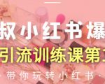 狼叔小红书爆款推广引流训练课第12期,手把手带你玩转小红书-私藏资源社