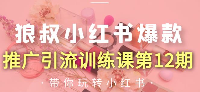 狼叔小红书爆款推广引流训练课第12期，手把手带你玩转小红书-私藏资源社
