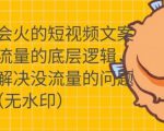 只说话就会火的短视频文案课,从根本上解决没流量的问题-私藏资源社