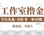 工作室撸金二件套：撸今日头条原创收益+小红书一单利润40块项目-私藏资源社