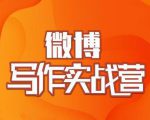村西边老王·微博超级写作实战营,帮助你粉丝猛涨价值999元-私藏资源社