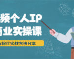 短视频个人IP商业实操课,百万粉丝实战方法分享,小白也能实现流量变现-私藏资源社