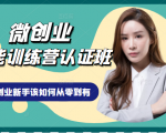 微创业全能训练营认证班课程，从理论知识与实际案例手把手指导创业新手如何从零到有-私藏资源社