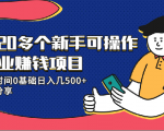 20多个新手可操作的副业赚钱项目：业余时间0基础日入几500+实操分享-私藏资源社