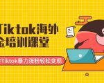 最新Tiktok海外掘金培训课堂:带你玩转Tiktok暴力涨粉轻松变现-私藏资源社