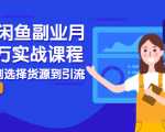 2021闲鱼副业月入过万实战课程:从开店到选择货源到引流,全程实战教学-私藏资源社