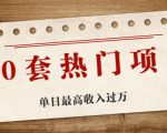 30套热门项目:单日最高收入过万 (网赚项目、朋友圈、涨粉套路、抖音、快手)等-私藏资源社