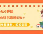 生财小红书涨粉变现:新账号从0开始3个月小红书涨粉5W+实现单篇爆粉-私藏资源社