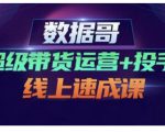 数据哥·超级带货运营+投手线上速成课,快速提升运营和熟悉学会投手技巧-私藏资源社
