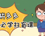 拼多多商家开店入门必学,0基础新手小白扫盲课(58节视频课程)-私藏资源社