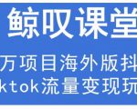 鲸叹号·海外TIKTOK训练营,百万项目海外版抖音tiktok流量变现玩法-私藏资源社