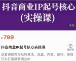 抖音商业IP起号核心实操课,带你玩转算法,流量,内容,架构,变现-私藏资源社