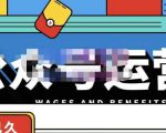 零零已久·从0-1运营公众号，零基础小白也能上手，系统性了解公众号运营-私藏资源社